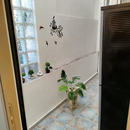 Next To The School 에피다우로스